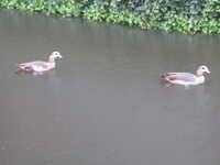  2010-11-14 10.32.07.JPG 